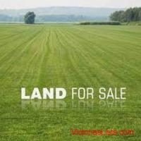 SELLING/BUYING: Real Estates in Philippines?